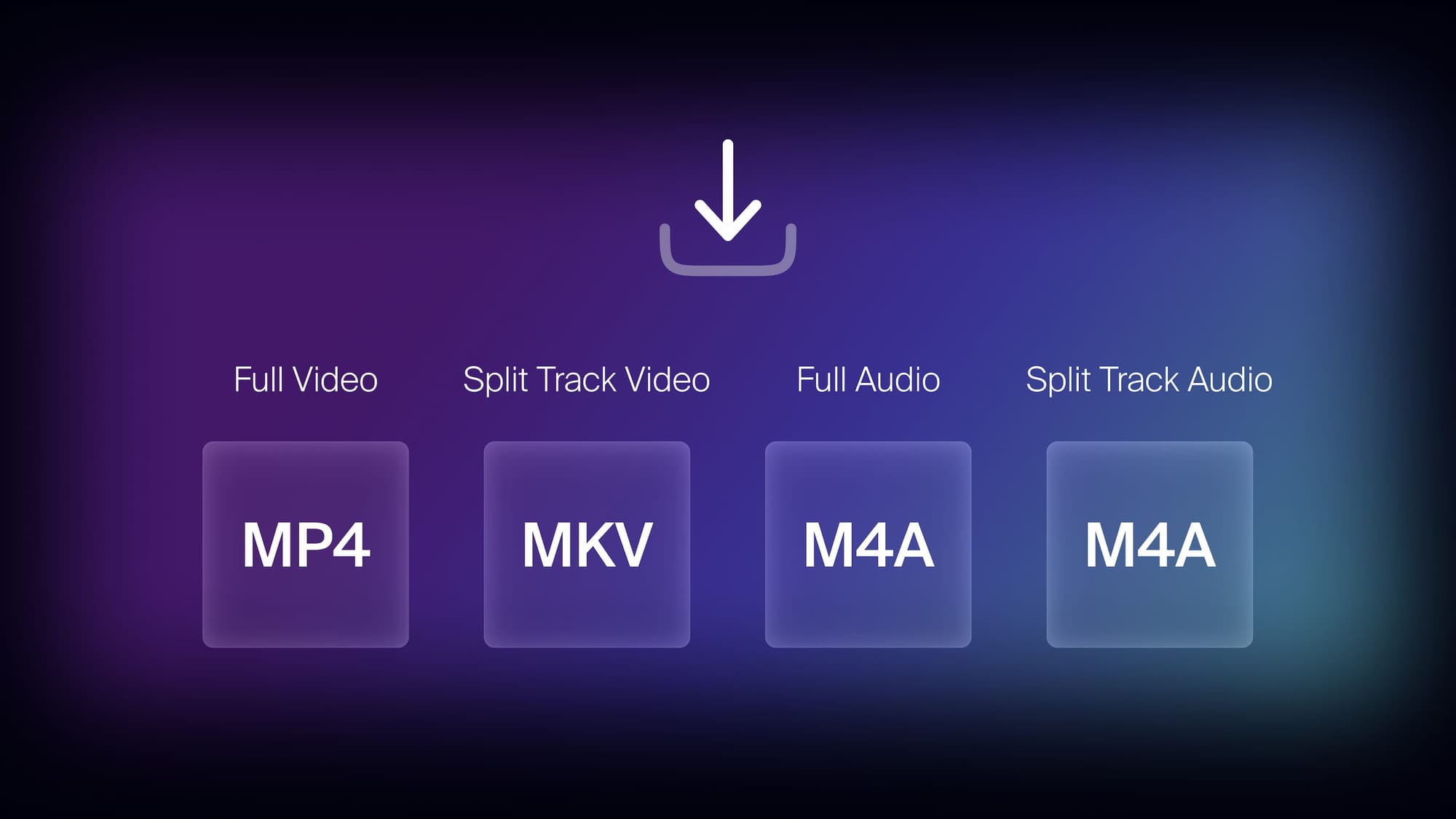 Download formats for full and split video and audio tracks.